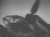 Heinkel He 111 Film Footage Clip