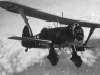 Henschel Hs 123 Bomber picture 2