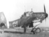 Junkers Ju 87D Stuka Dive Bomber picture 6