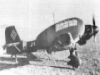Junkers Ju 87D Stuka Dive Bomber picture 7