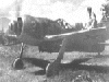Focke-Wulf Fw 190 Wurger (Butcher Bird) Fighter picture 2