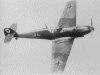 Messerschmitt Bf 109 Fighter picture 7