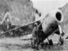 Messerschmitt Me P.1101 Fighter picture 5
