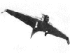 DFS 39 Prototype tailless aircraft picture 2