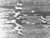 Focke-Wulf Fw 189 Uhu (Owl) Reconnaissance, bomber picture 2