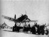 Arado Ar 196 Seaplane reconnaissance picture 3