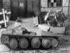 Flakpanzer 38(t) Sd.Kfz. 140 picture 1