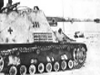 Hornisse / Nashorn Sd.Kfz. 164 picture 7