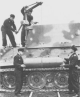 Sturmtiger picture 6