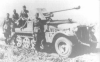 5 cm PaK 38 (Sf) auf Fgst Zgkw 1t Sd.Kfz. 10 picture 4