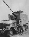 7.62 cm PaK 36(r) auf Pz.jg (Sf) Zgkw 5t Diana Sd.Kfz. 6  picture 2