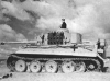 Tiger I Ausf. E  Sd.Kfz. 181 piture 3