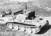 Bergepanther Sd.Kfz. 179 picture 5