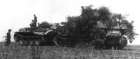 Bergepanther Sd.Kfz. 179 picture 6