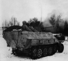 Sd.Kfz. 251/17 mittlere Schtzenpanzerwagen (2 cm) Flak 38 Ausf. D picture 2