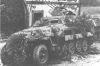 Sd.Kfz. 251/21 mittlere Schtzenpanzerwagen Drilling MG 151S Ausf. D picture 2