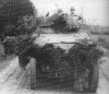 Sd.Kfz. 251/9 mittlere Schtzenpanzerwagen (7.5 cm) Ausf. C picture 5