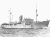 Stier Auxiliary cruiser