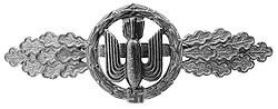 Luftwaffe Flying Clasps